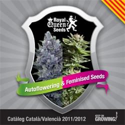 Catalonia Royal Semi Regina femminilizzata catalogo Semi di cannabis