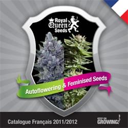 Reale Francese Semi Regina femminilizzata catalogo Semi di cannabis