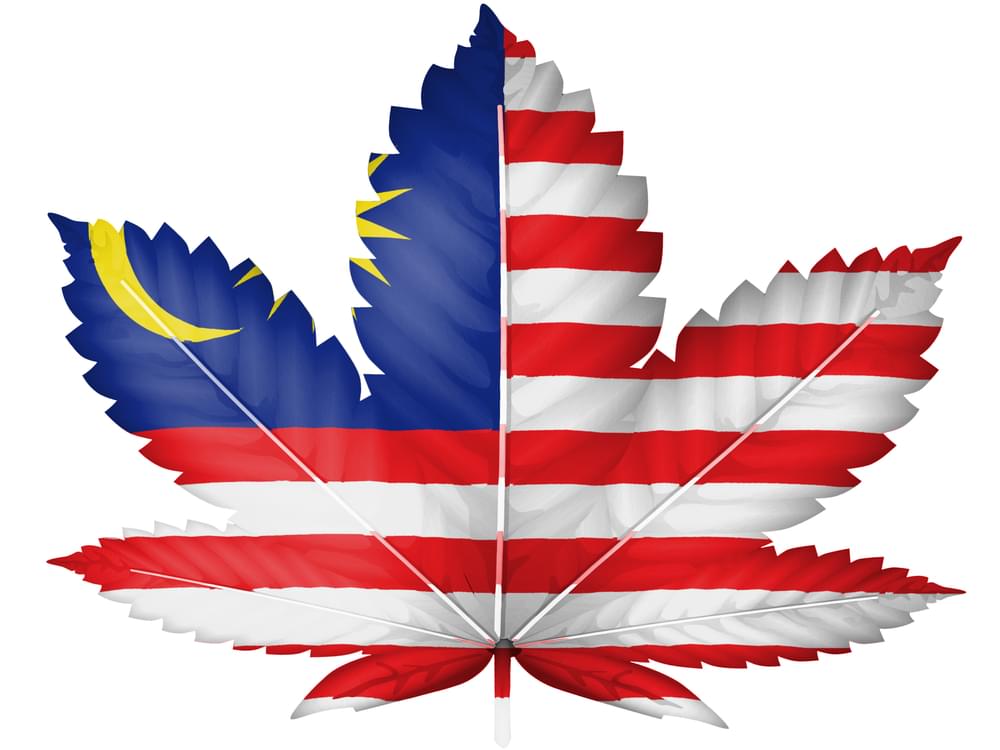 Cannabis in Malesia
