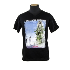 T-shirt Penguin della Royal Queen Seeds