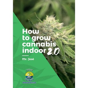 Come coltivare cannabis indoor 2.0