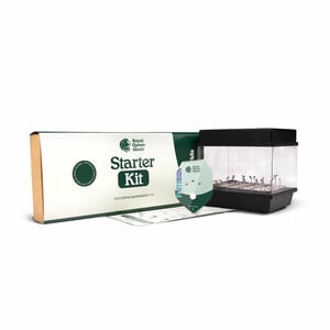 Starter Kit Ibridi F1