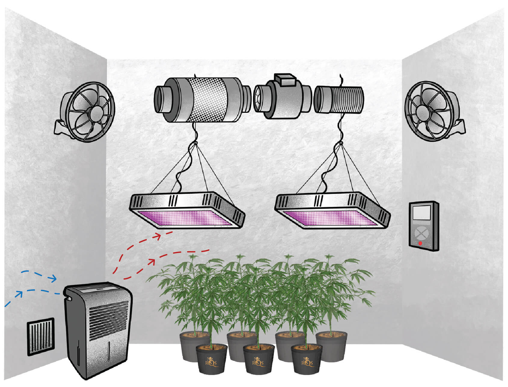 Come Scegliere il Deumidificatore Ideale per Coltivare Cannabis