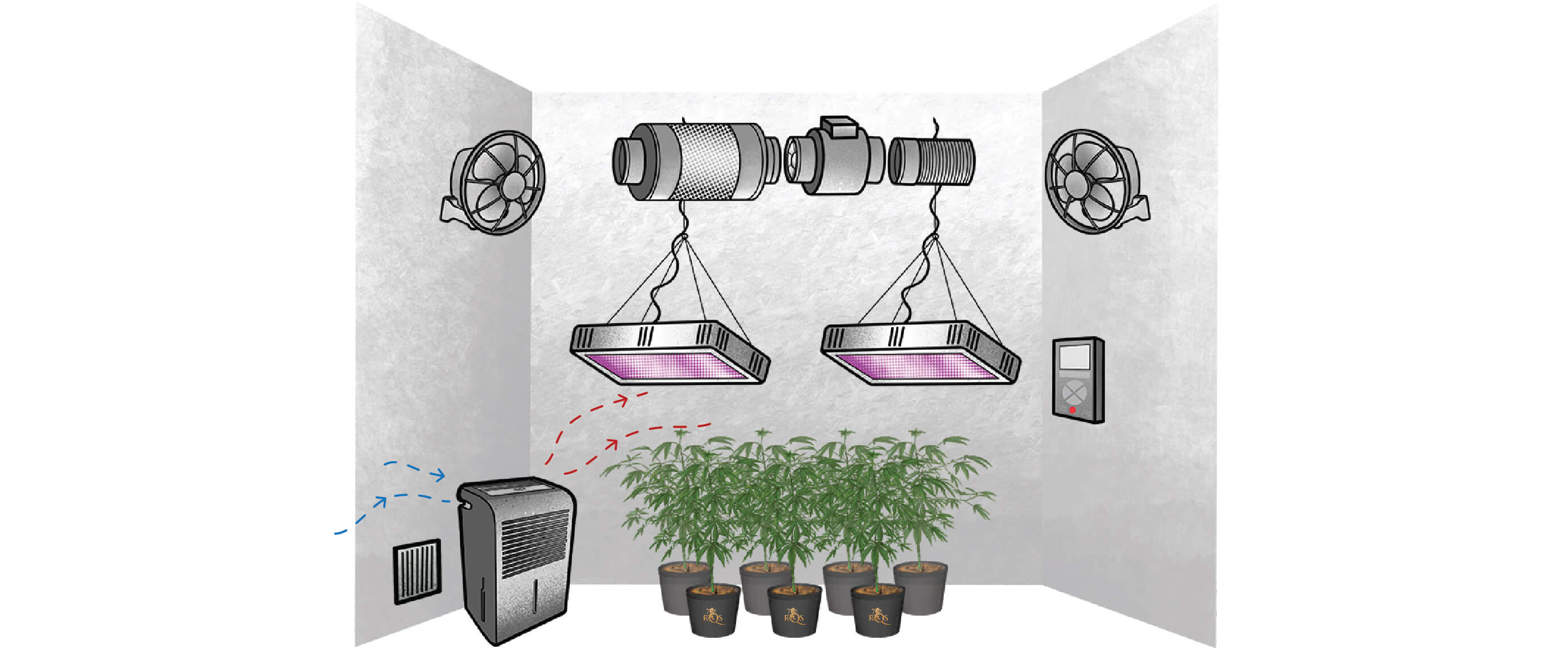 Come Scegliere il Deumidificatore Ideale per Coltivare Cannabis