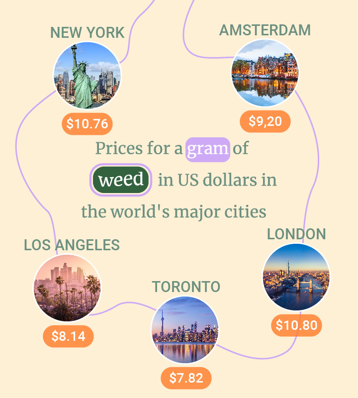 Quanto costa un grammo d’erba?