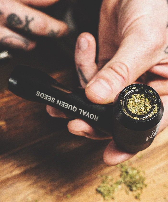 Das beste preiswerte Cannabis-Zubehör von RQS