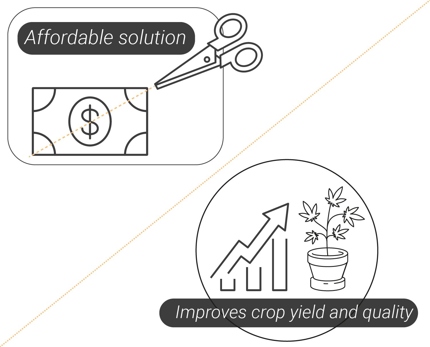 Tutto quello che c'è da sapere sui grow box 