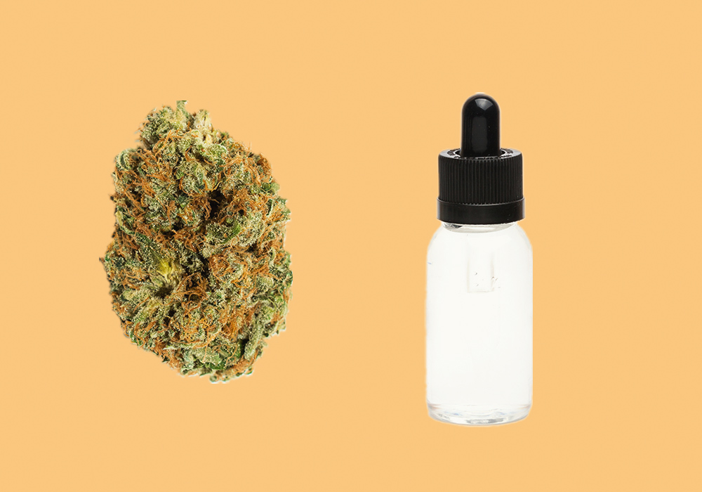 Tutto Ciò Che C'è da Sapere sulle Cartucce di Cannabis