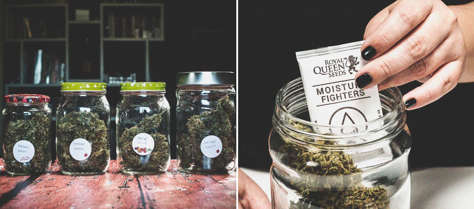 Allarme Per Gli Stoner: Fumare Cannabis Ammuffita Allarme Per Gli Stoner: Fumare Cannabis Ammuffita