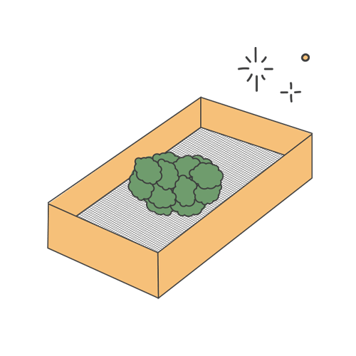 Come Fare l’Hashish in Casa Come Fare l’Hashish in Casa