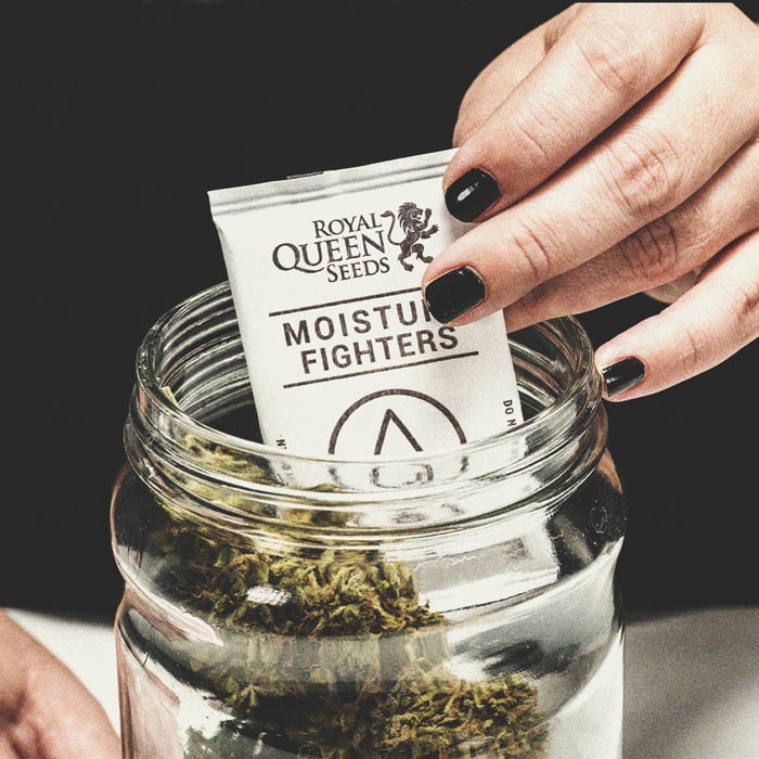 Allarme Per Gli Stoner: Fumare Cannabis Ammuffita Allarme Per Gli Stoner: Fumare Cannabis Ammuffita