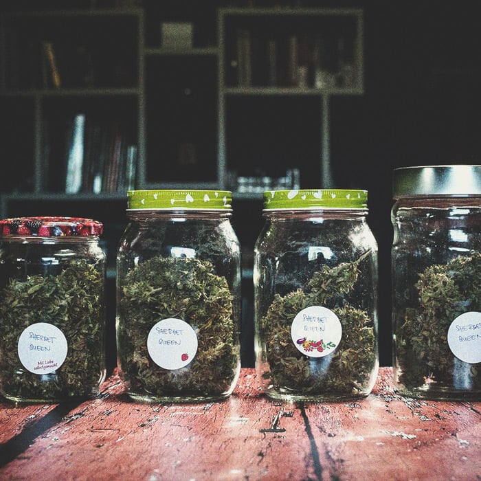 Allarme Per Gli Stoner: Fumare Cannabis Ammuffita Allarme Per Gli Stoner: Fumare Cannabis Ammuffita