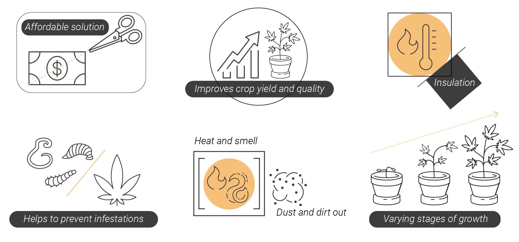 Tutto quello che c'è da sapere sui grow box 