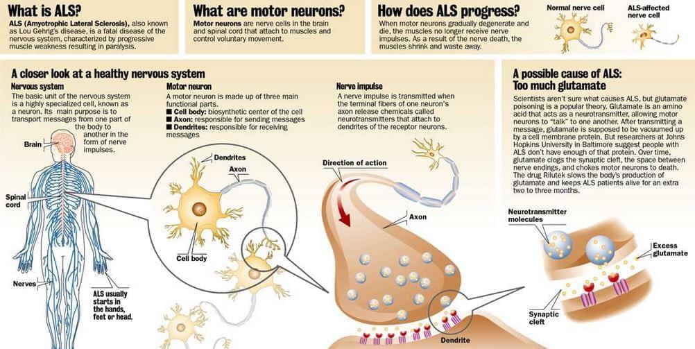 ALS ALS