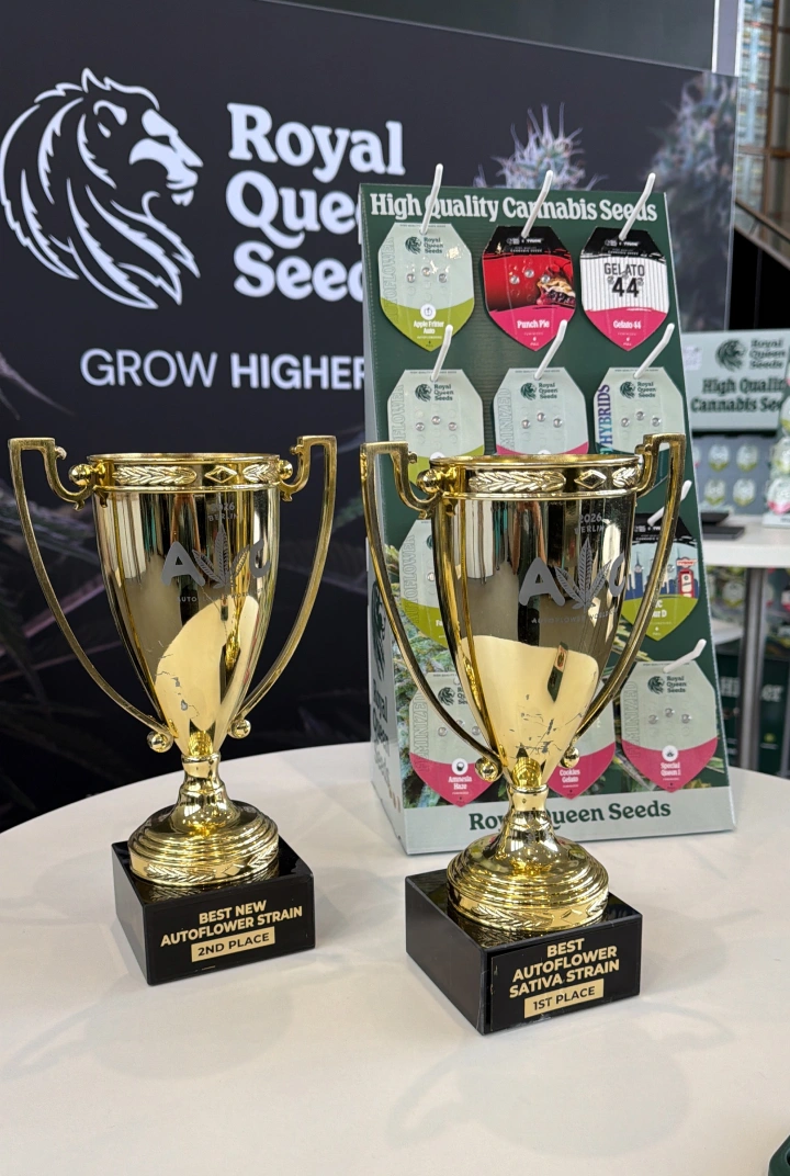 Trainwreck Auto e Gaia F1 vincono alla Autoflower World Cup Scopri Trainwreck Auto e Gaia F1, due varietà Royal Queen Seeds premiate alla Autoflower World Cup 2026.