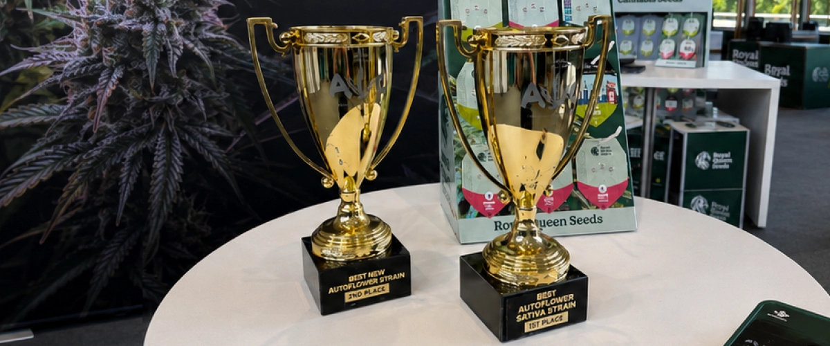 Trainwreck Auto e Gaia F1 vincono alla Autoflower World Cup Scopri Trainwreck Auto e Gaia F1, due varietà Royal Queen Seeds premiate alla Autoflower World Cup 2026.