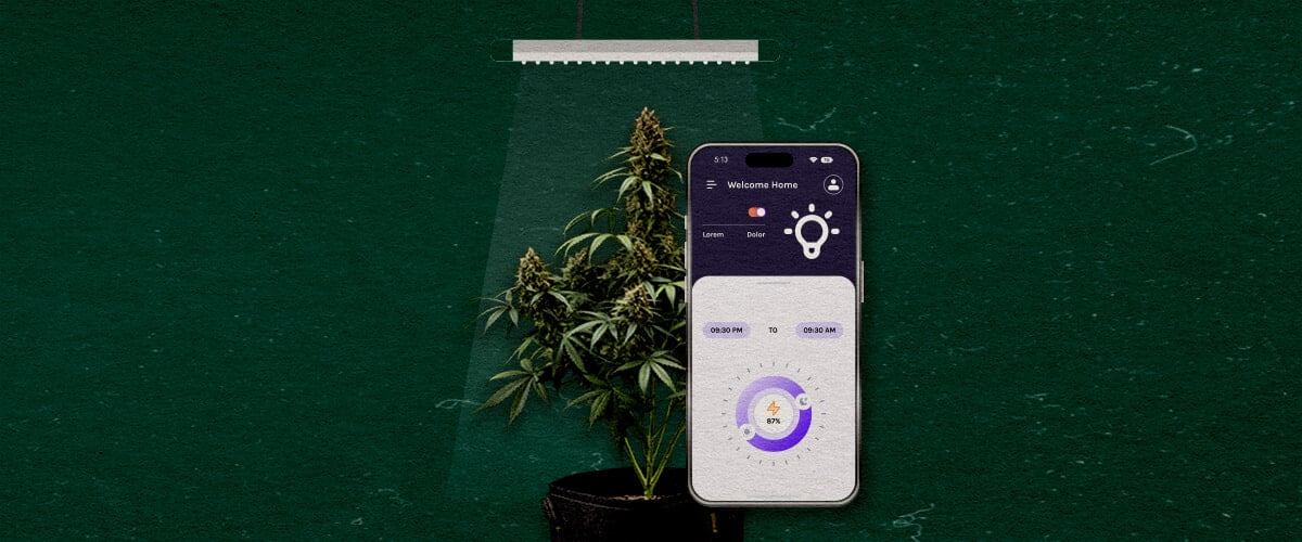 Funzionalità Avanzate da Considerare Cannabis Un'illustrazione di una pianta di cannabis sotto una luce da coltivazione con uno smartphone che mostra un'app di controllo, su uno sfondo verde, evidenziando funzionalità avanzate da considerare.