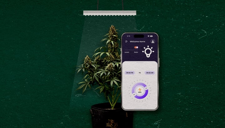 Funzionalità Avanzate da Considerare Cannabis Un'illustrazione di una pianta di cannabis sotto una luce da coltivazione con uno smartphone che mostra un'app di controllo, su uno sfondo verde, evidenziando funzionalità avanzate da considerare.