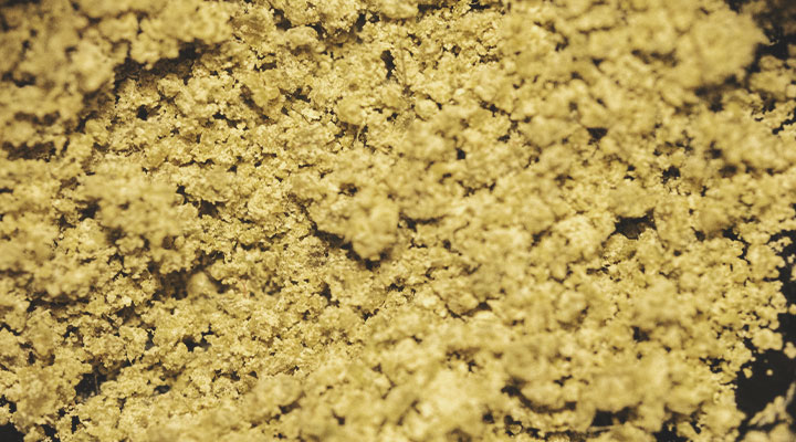 Come essiccare il bubble hash