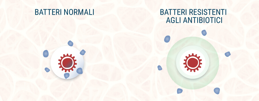Batteri Normali e Batteri Resistenti Agli Antibiotici