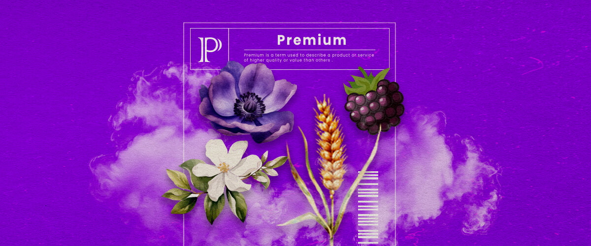 Guida Info Varietà Cannabis Granddaddy Purple Un'illustrazione di boccioli di cannabis Granddaddy Purple con tonalità viola profonde e struttura densa, evidenziando i suoi tratti ibridi dominanti indica e il suo aroma dolce di uva, su uno sfondo verde.