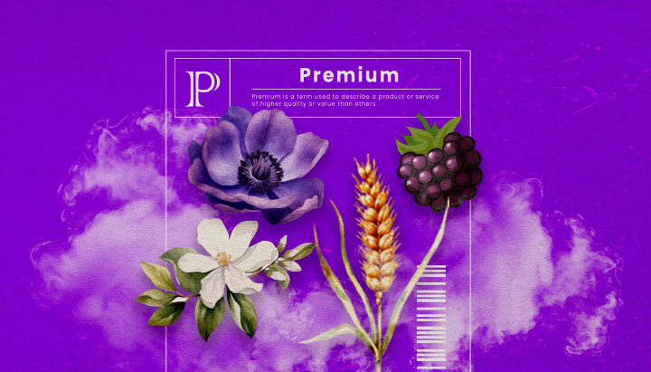 Guida Info Varietà Cannabis Granddaddy Purple Un'illustrazione di boccioli di cannabis Granddaddy Purple con tonalità viola profonde e struttura densa, evidenziando i suoi tratti ibridi dominanti indica e il suo aroma dolce di uva, su uno sfondo verde.