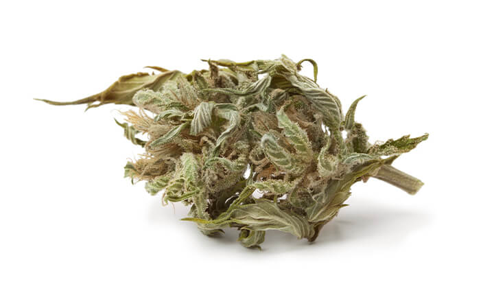 Cosa si intende per cannabis di basso livello? Cosa si intende per cannabis di basso livello?