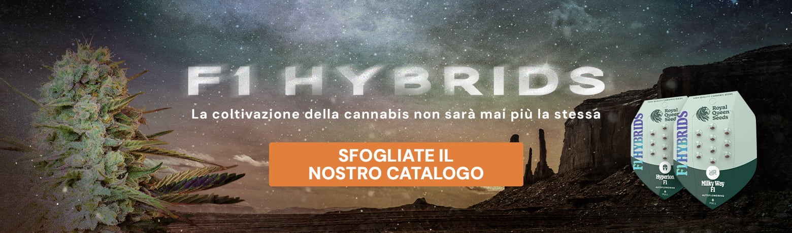 Buy F1 Hybrids Buy F1 Hybrids