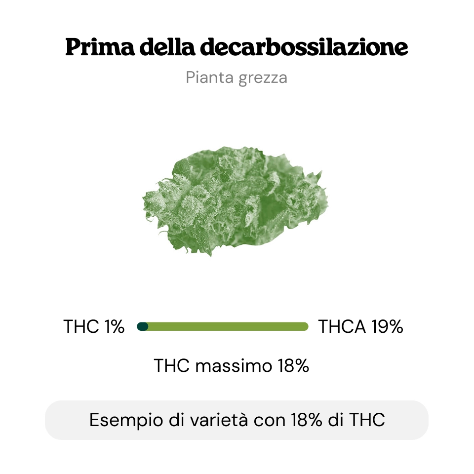 Decarbossilazione Decarbossilazione