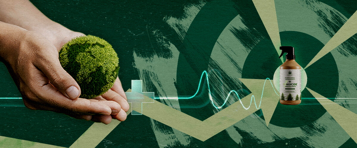 Mani che nutrono una sfera verde sana accanto a un fungicida organico, che rappresenta una protezione vegetale mirata e sostenibile con estratti di cannabis.