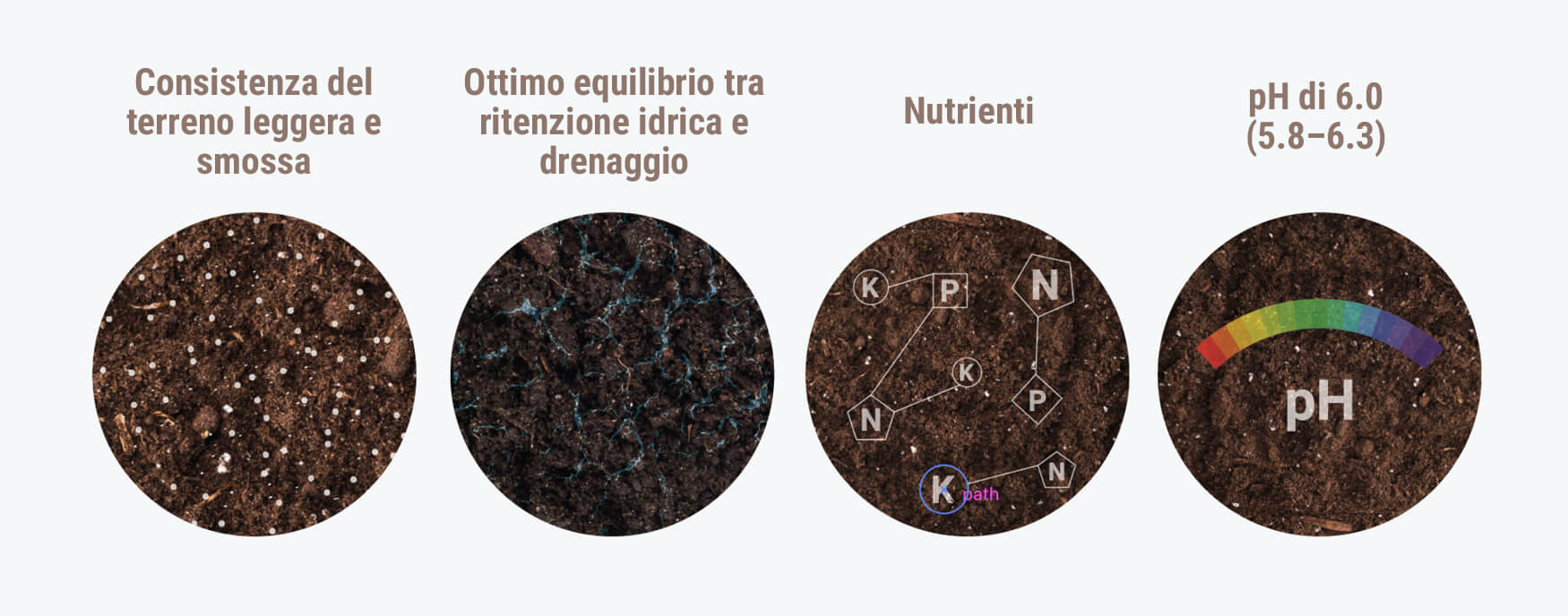Qual È Il Terreno Migliore Per Coltivare Ganja? Qual È Il Terreno Migliore Per Coltivare Ganja?