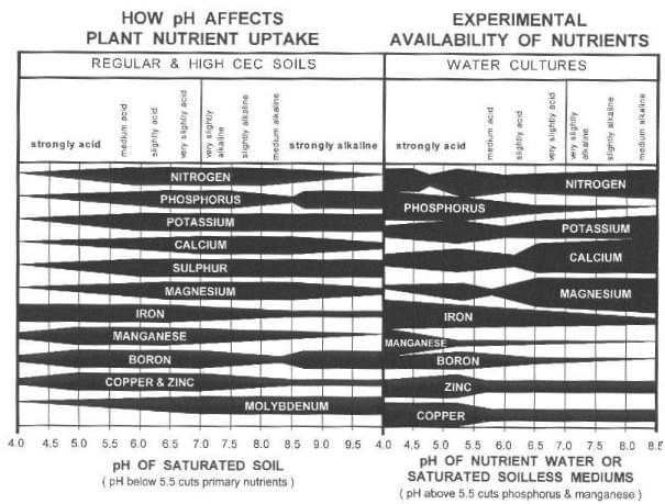 Plant PH affects Nutrient Uptake