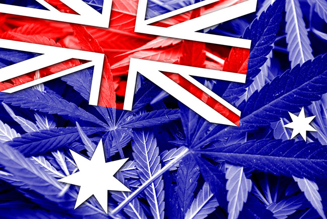australia cannabis