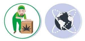 REGOLAZIONE cannabis