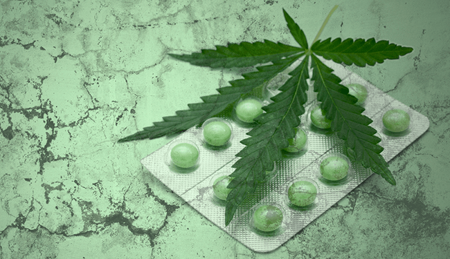 Colombia Cannabis Terapeutica