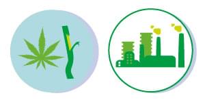 RISORSE RINNOVABILI cannabis