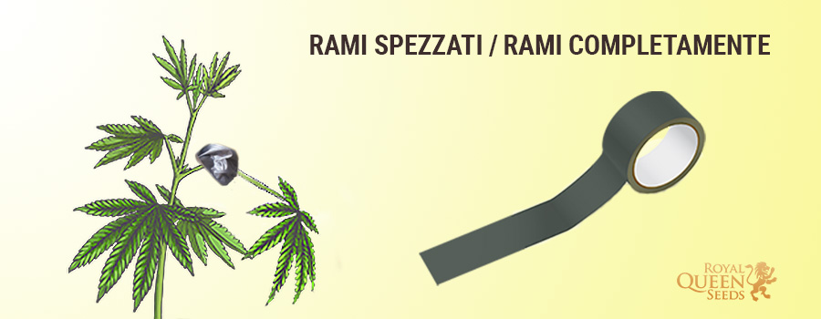 Correggere i gambi spezzati e i gambi Correggere i gambi spezzati e i gambi