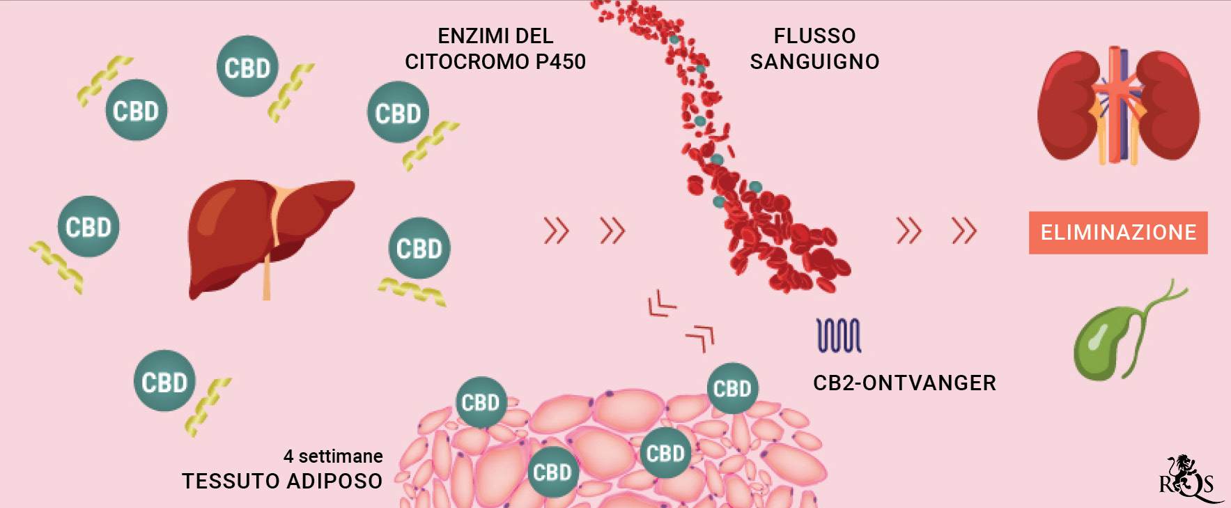 CBD Medication desktop-update-it