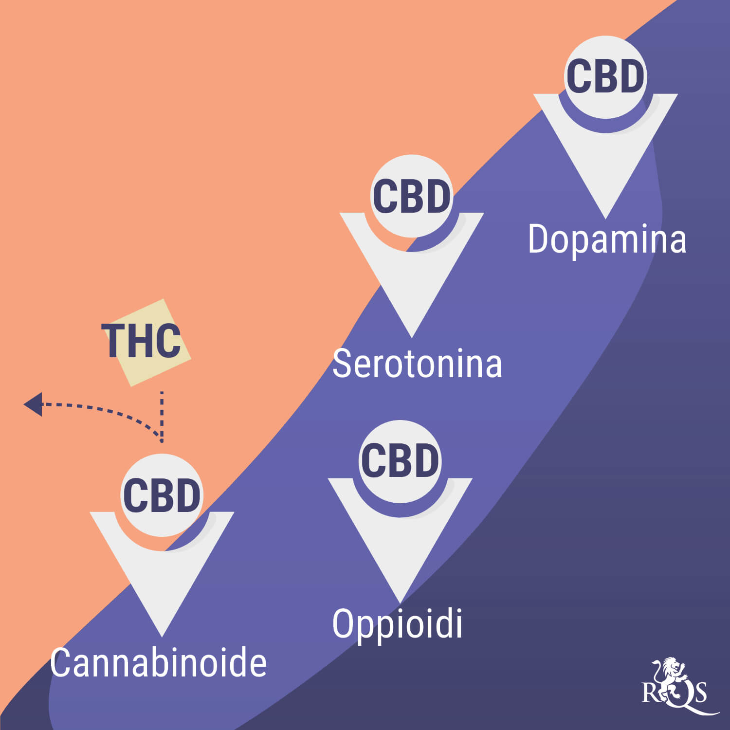 Cannabis e Salute Mentale: un Legame Complesso