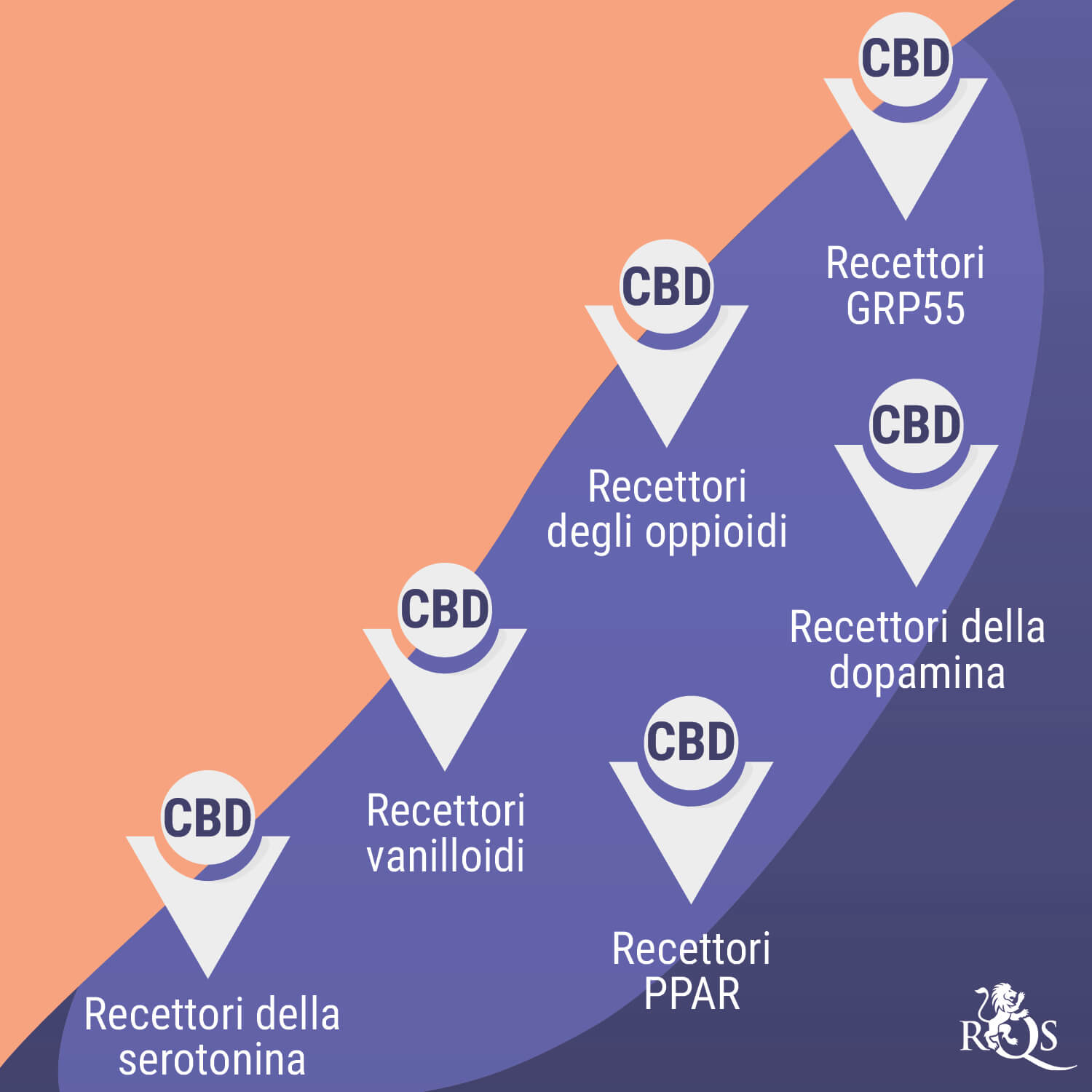 In Che Modo la Cannabis Interagisce con gli Antidepressivi