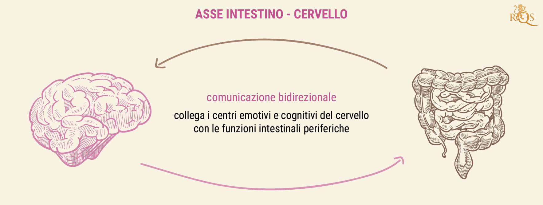 Perché la Salute Intestinale È Così Importante?