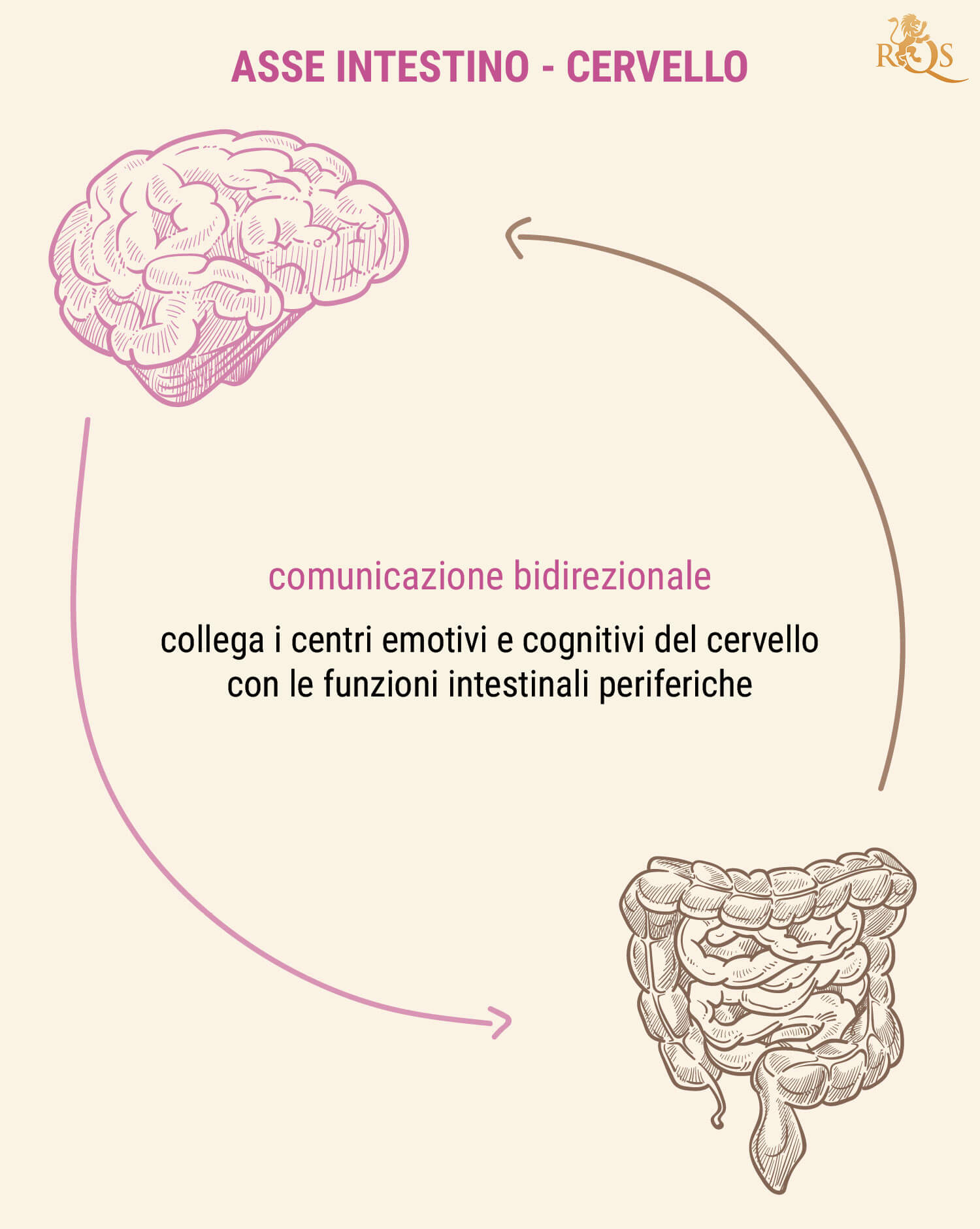 Perché la Salute Intestinale È Così Importante?