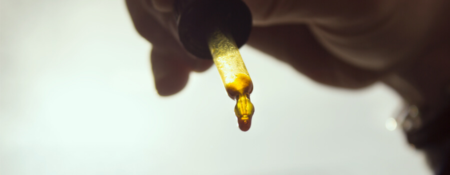 Come Dosare L'Olio Di Cbd Come Dosare L'Olio Di Cbd