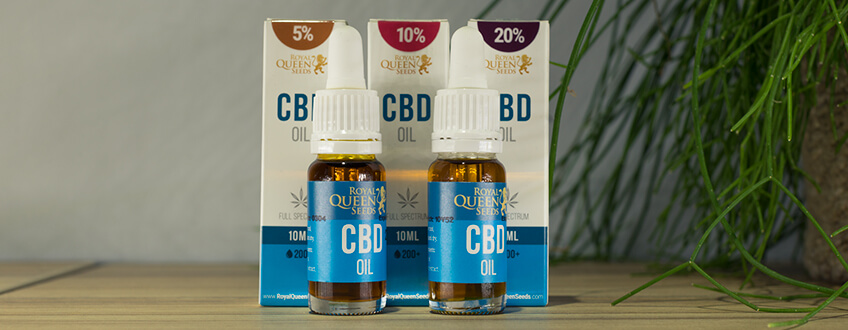 Olio di CBD della Royal Queen Seeds Olio di CBD della Royal Queen Seeds
