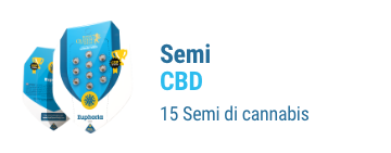 Semi-cbd