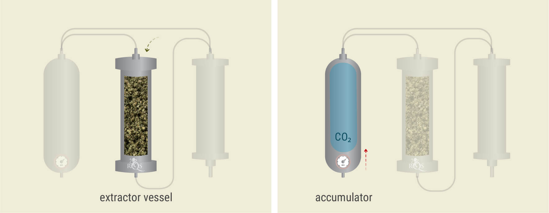 Estrazione con CO₂: Processo Passo Dopo Passo Estrazione con CO₂: Processo Passo Dopo Passo