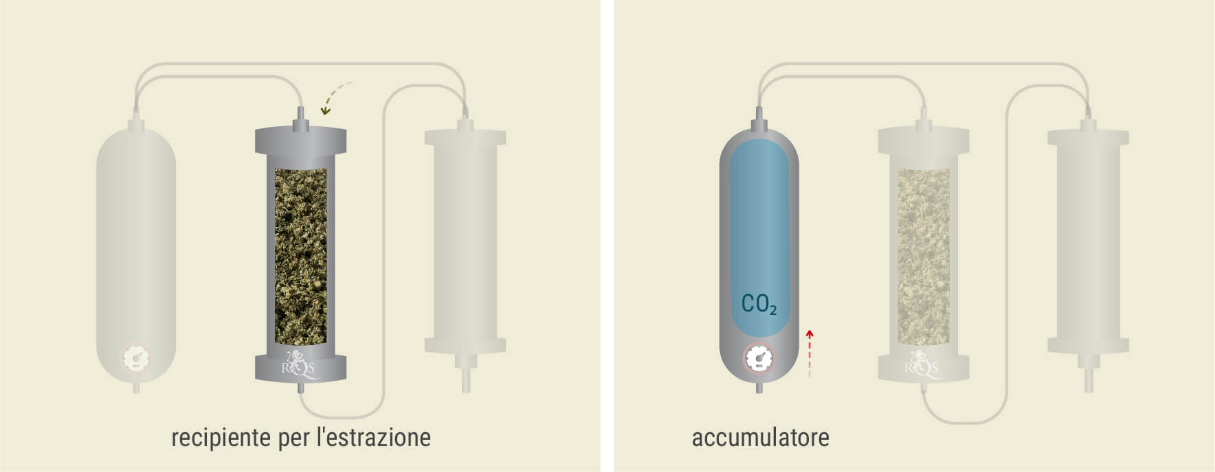 Estrazione con CO₂: Processo Passo Dopo Passo Estrazione con CO₂: Processo Passo Dopo Passo