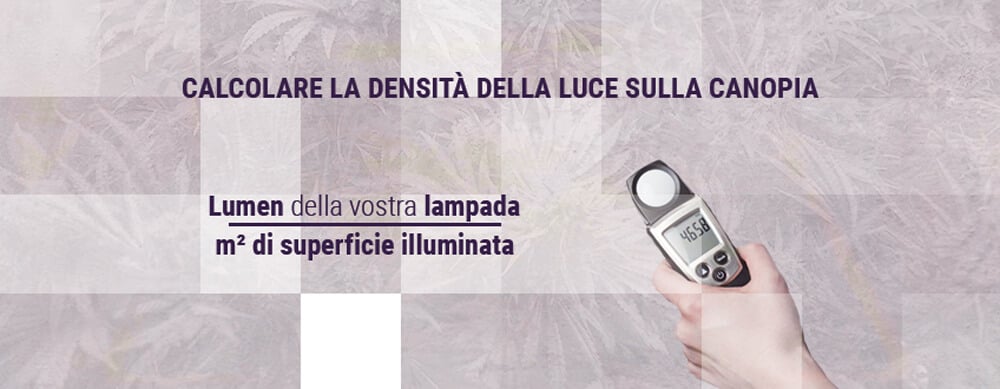 Calcolare-la-densità-della-luce-sulla-canopia della cannabis