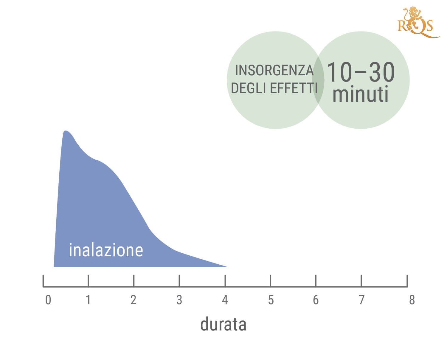 Quanto Dura uno Sballo di Cannabis?