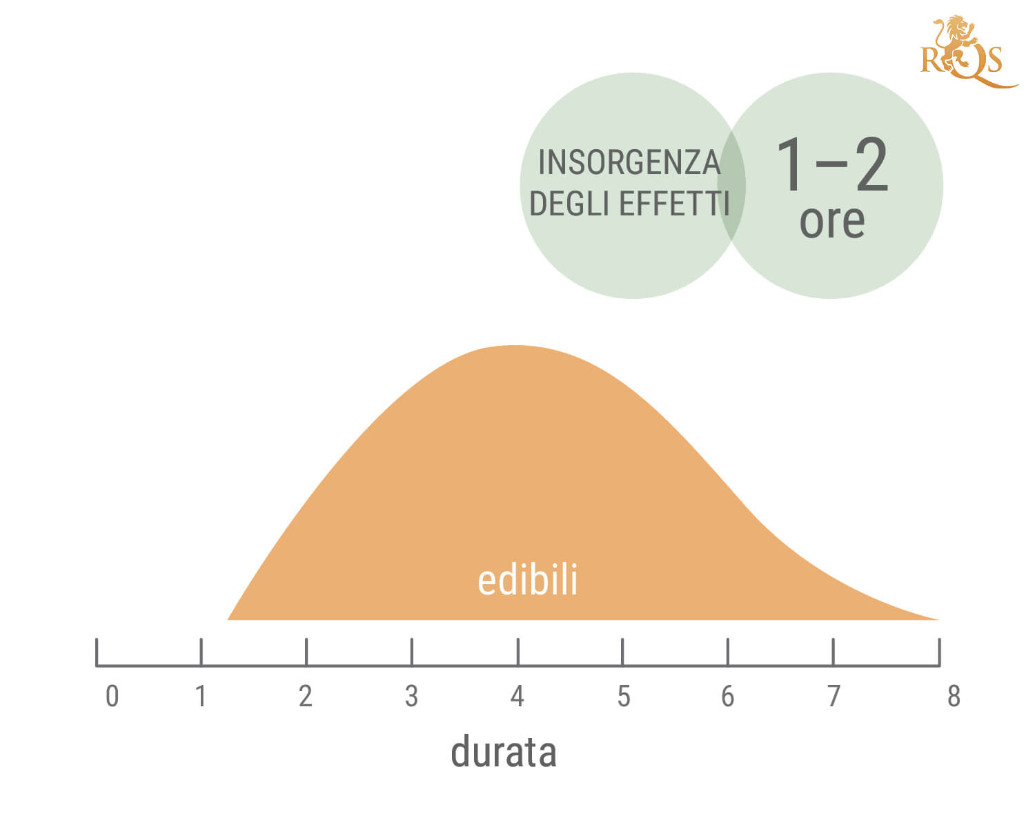 Quanto Dura uno Sballo di Cannabis?